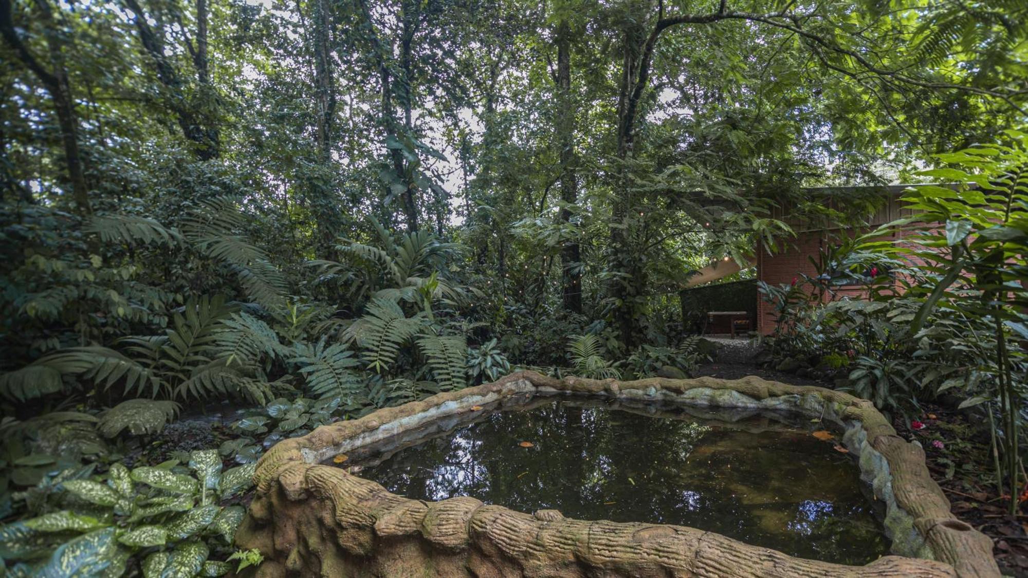The Frog House Daire La Fortuna Dış mekan fotoğraf