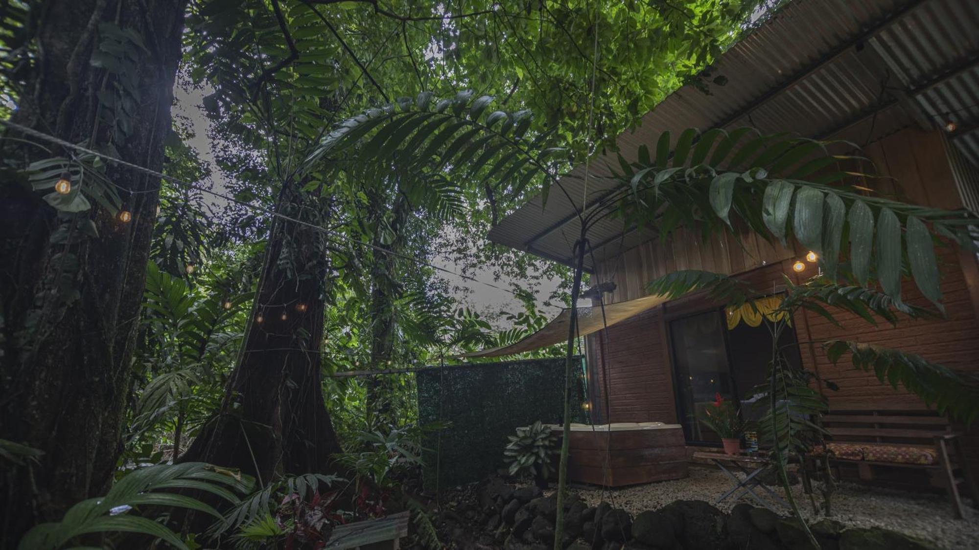 The Frog House Daire La Fortuna Dış mekan fotoğraf